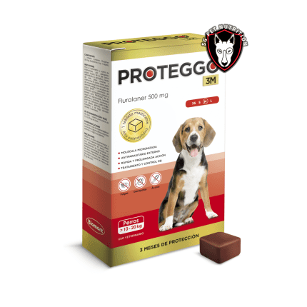 Proteggo 3M 10 a 20kg