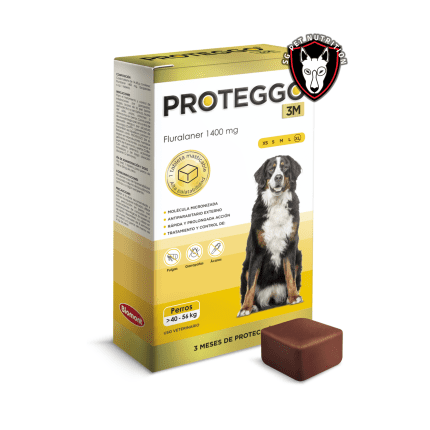 Proteggo 3M 40 a 56 kg